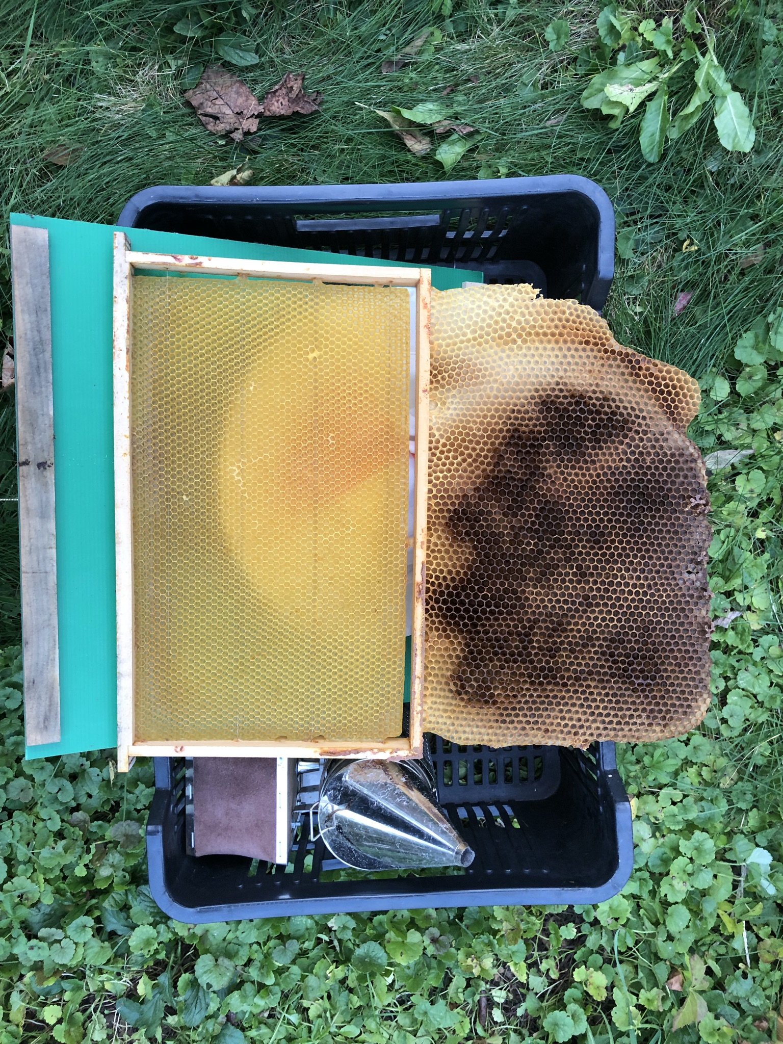 Když včelař neumí počítat